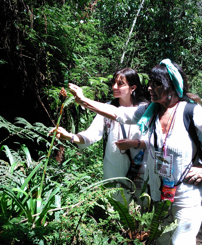 La Ruta de las Orquídeas